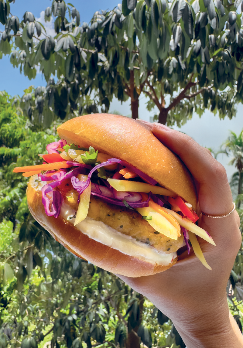 Salmon burger with pickled slaw, fertility food for anyone trying to conceive