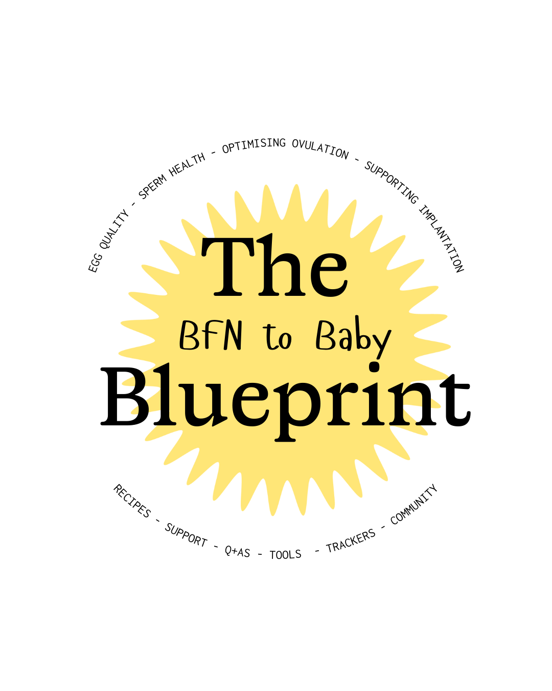 The BFN to Baby Blueprint