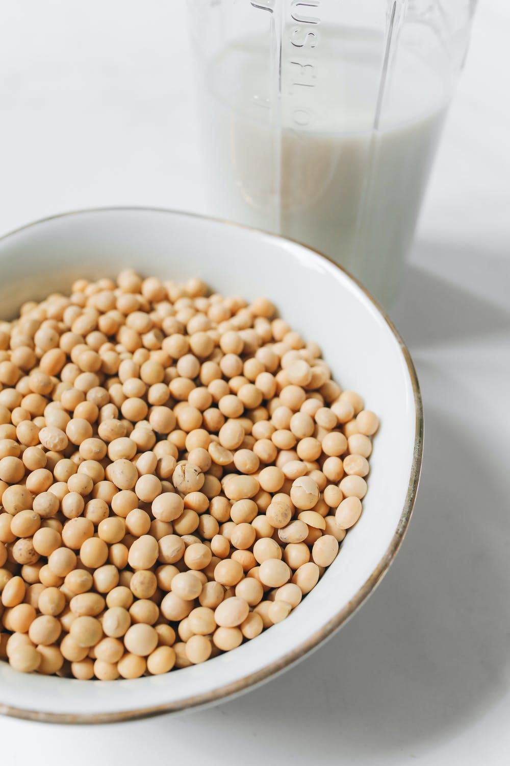 Soy and Fertility
