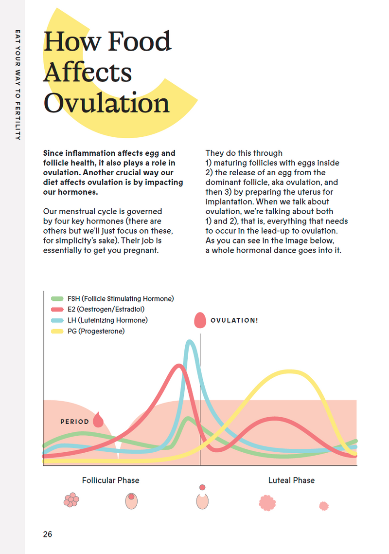 How Food Affects Ovulation page with a chart of hormones across the menstrual cycle